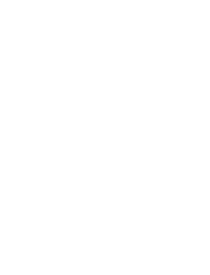 VOLSKI Honest Beef